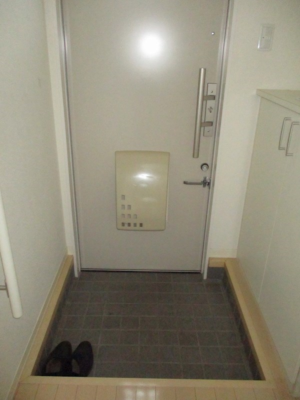 サンフラワー その他