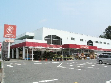 サンフラワー ホームセンター