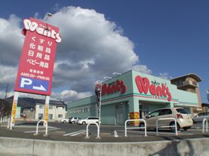 廿日市市大野原3丁目戸建 ドラッグストア