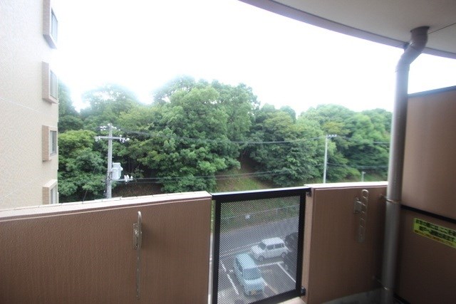 WING TACHIBANA その他