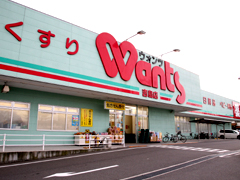 フェニックス保田 ドラッグストア