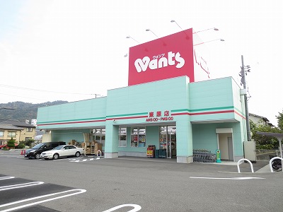 アトラクティブハイム ドラッグストア