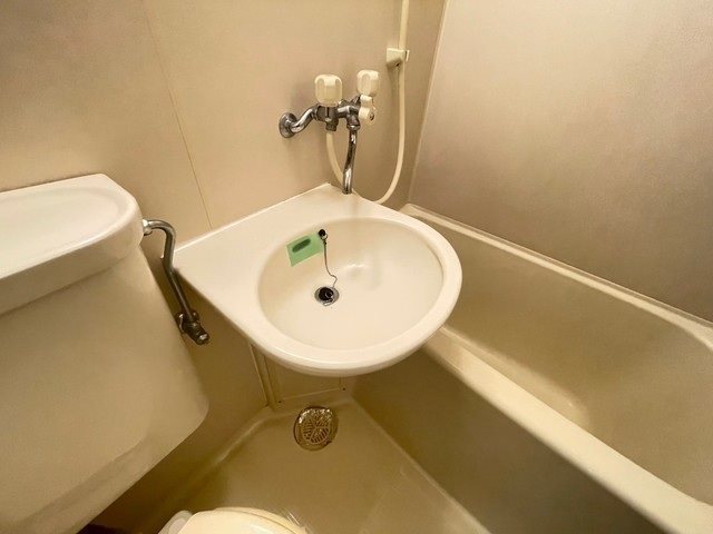 アストラムシンカワ 洗面所