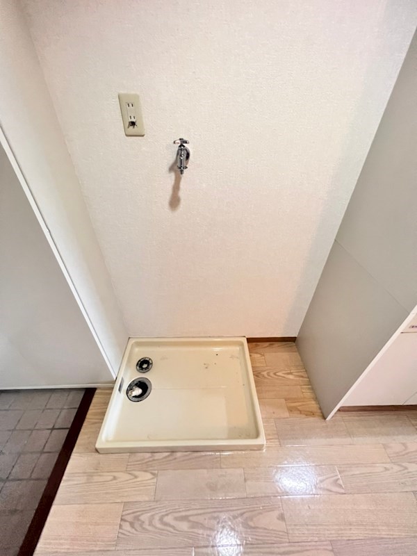 コープレリアン その他