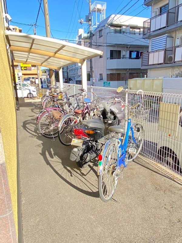 ラフテル その他