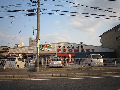 コーポラス弥生 スーパー