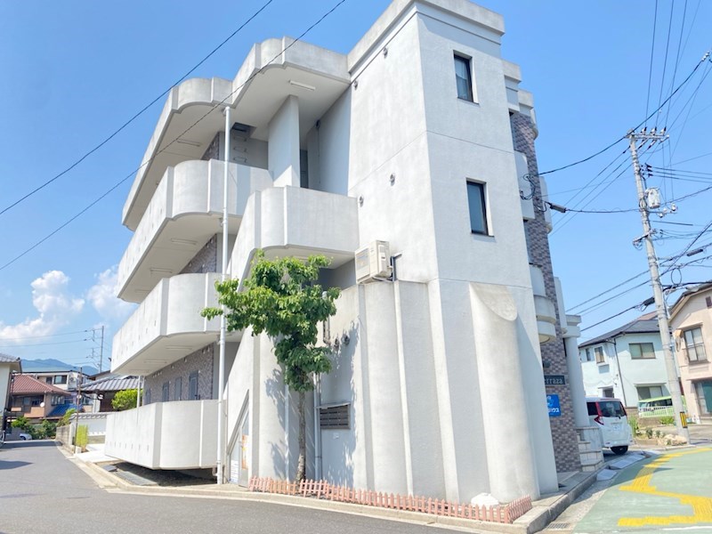 Ｍ．Ｔｅｒｒａｚａ その他