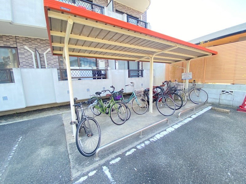 Ｍ．Ｔｅｒｒａｚａ その他