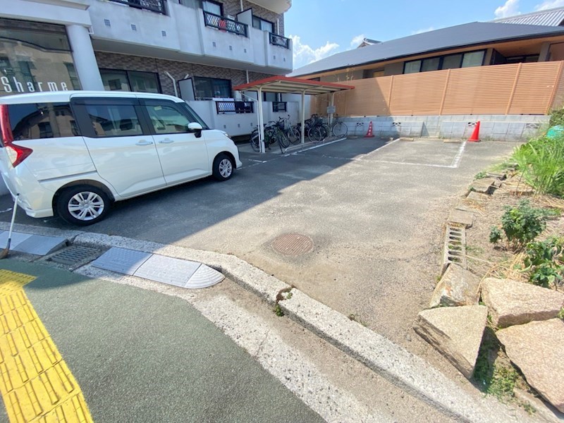 Ｍ．Ｔｅｒｒａｚａ その他