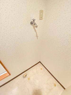ビュティチェリエム その他