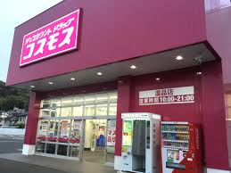 中本貸家 ドラッグストア