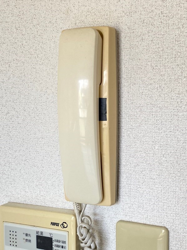 ヴィラ・ハナミズキB セキュリティ