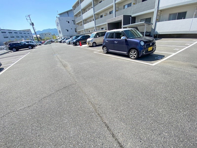 SK-1st その他