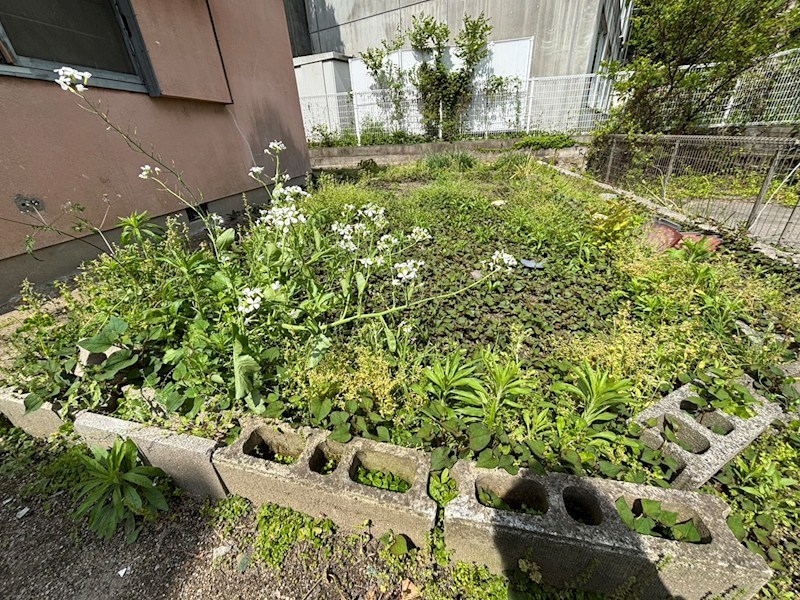 佐方本町の戸建て その他