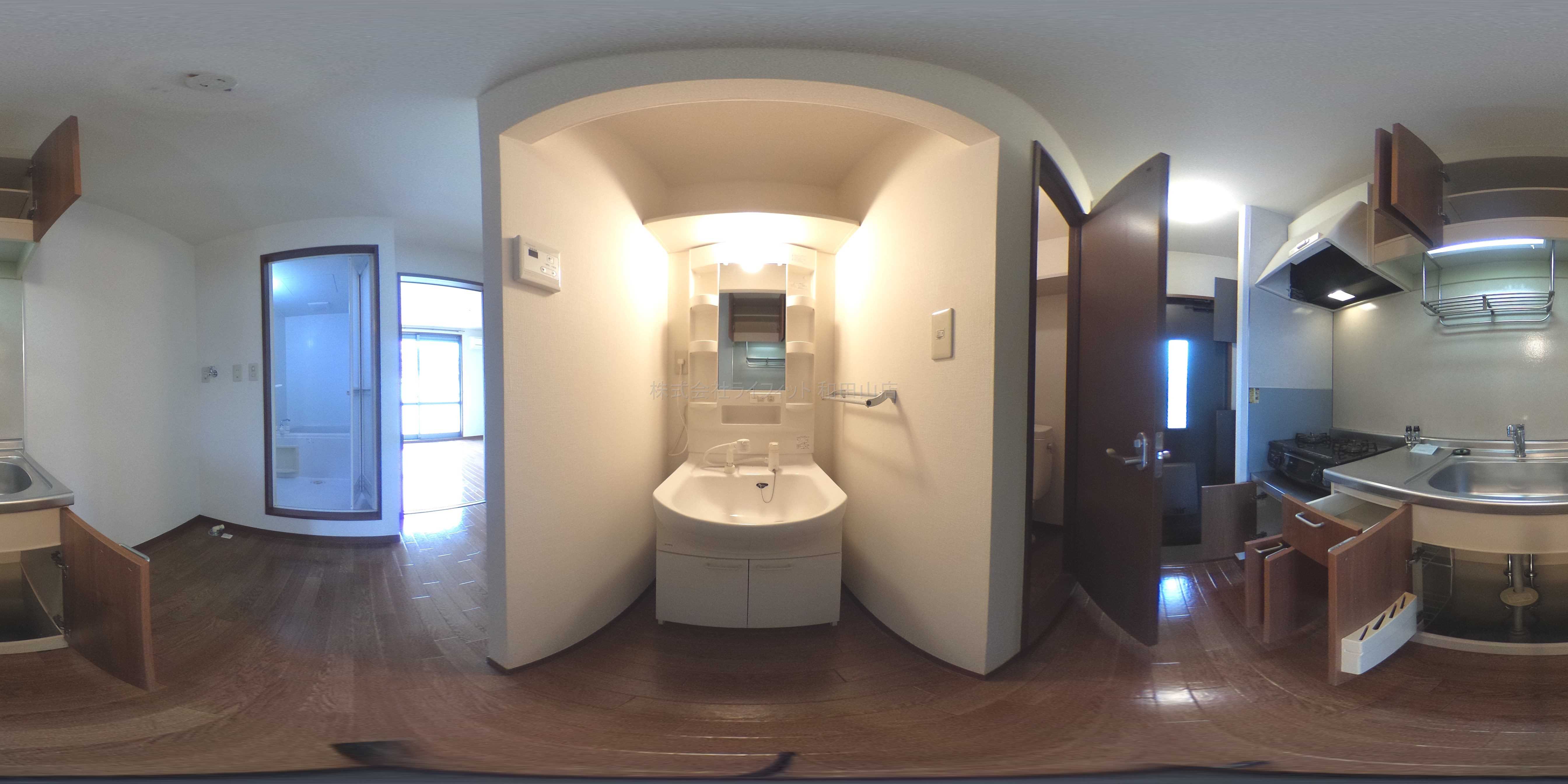 グリーン・コーポ法興寺 洗面所
