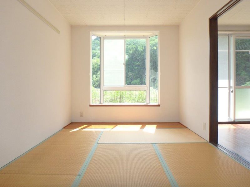 向日葵 その他