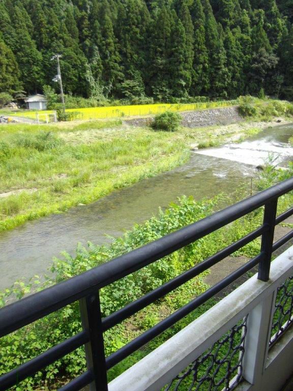向日葵 眺望