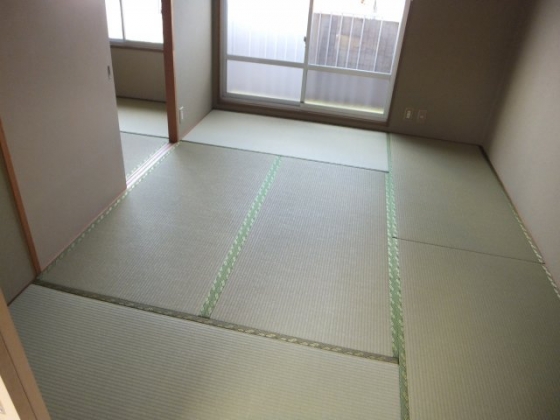 出石ハイツⅢ その他部屋・スペース