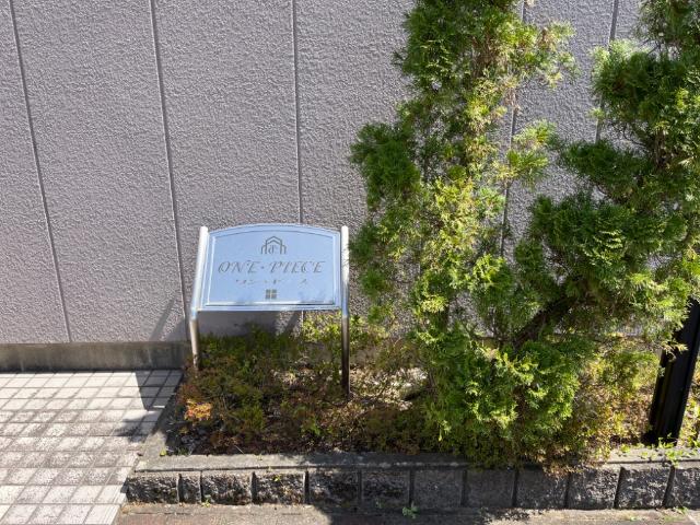 ワン・ピース 外観