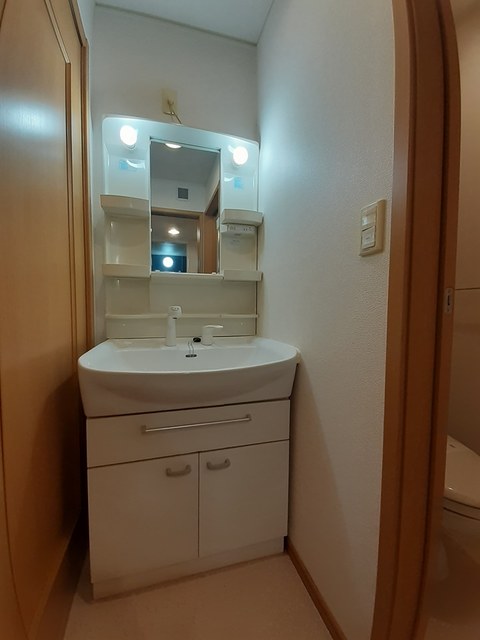 アルドール　エス 洗面所