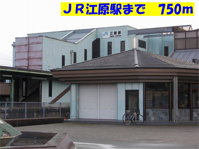アルドール　エス その他