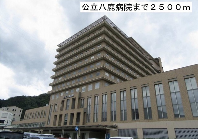 ＭＡＩＳＯＮ・ＳＯＬＥＩＬ その他