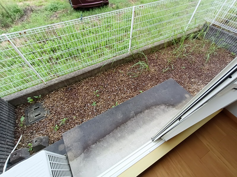 フロイライン　アミィＢ ベランダ
