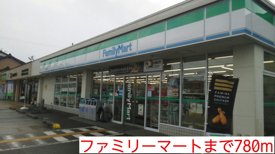 グレース　レミカ その他