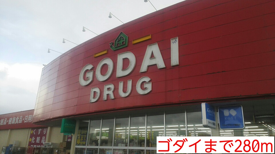 グレース　レミカ その他