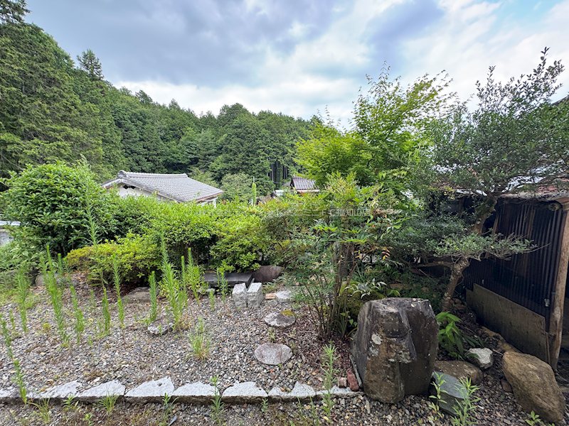 天田貸家 庭