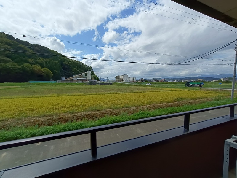 サンヴェルジュⅣ 眺望