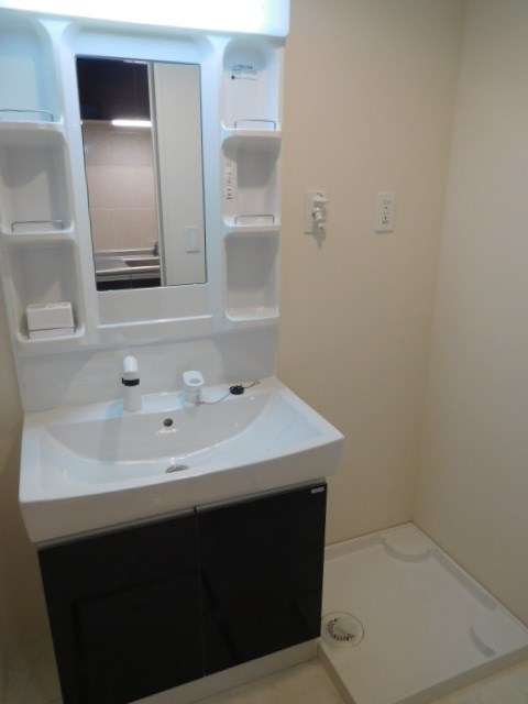 ローエングラム大日 その他2