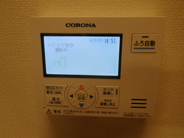 ローエングラム大日 その他10