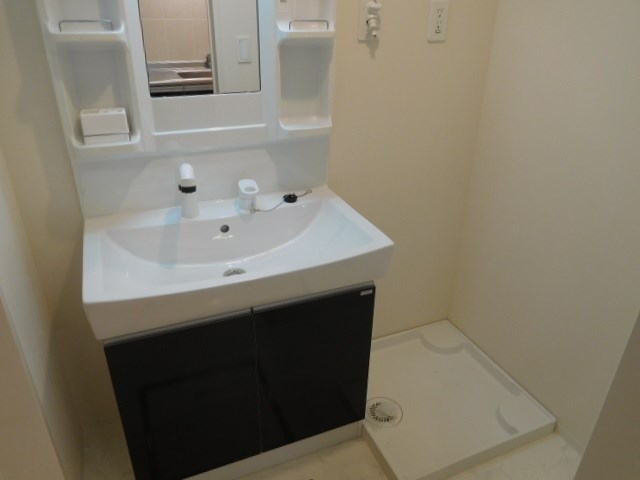 ローエングラム大日 その他11