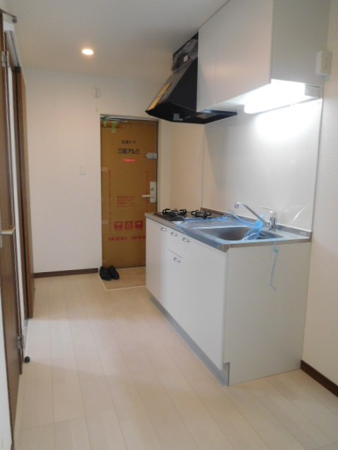 パルディナカダⅢ その他1