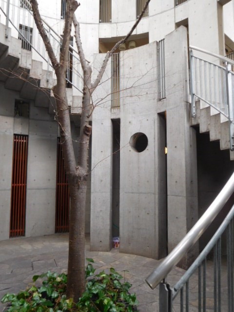 カーサカーラ その他外観4