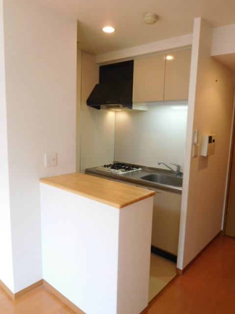 フナーセル その他1