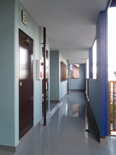 ドミールカメリア その他外観6