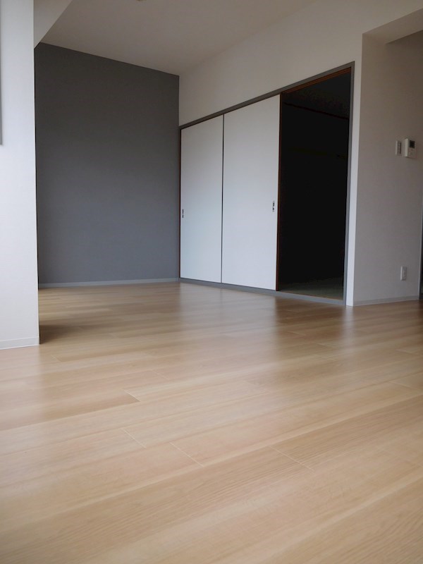 ラポート大日  リビング
