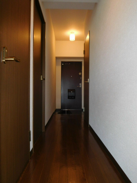 グレーシア大西  その他13