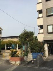 ダイジェストハイツ その他外観1
