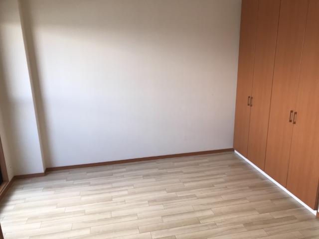 ルーテシア その他