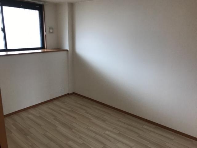 ルーテシア その他