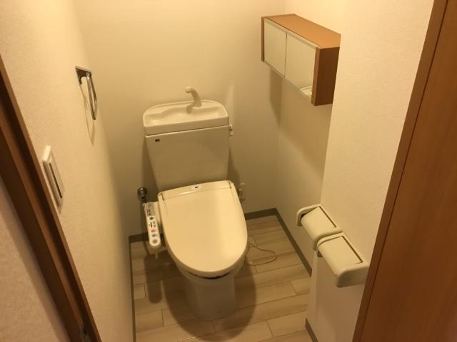 ルーテシア トイレ