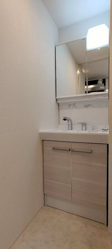 エスリード京都吉祥院 ヴィーナ 洗面所