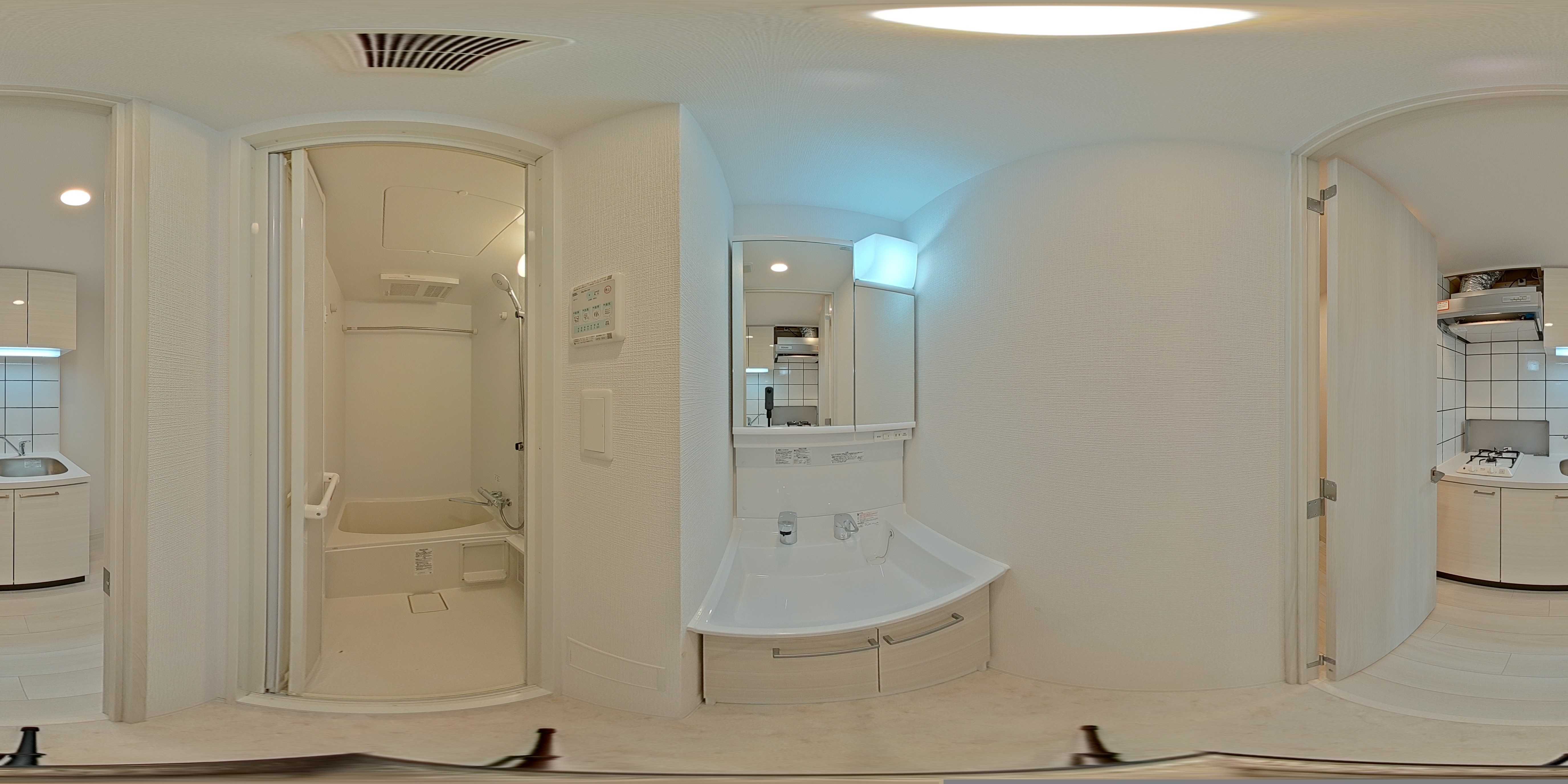 エスリード京都吉祥院 ヴィーナ 洗面所