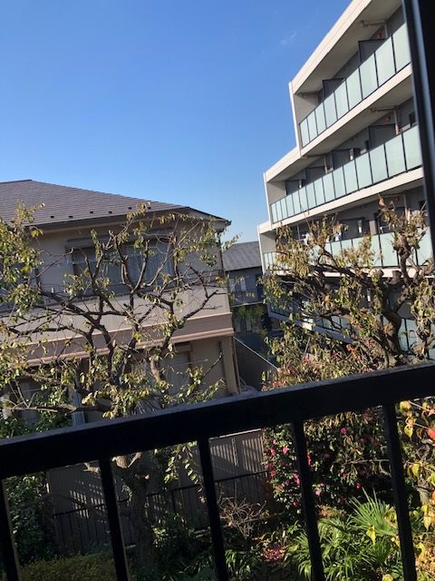 いずみ荘 眺望