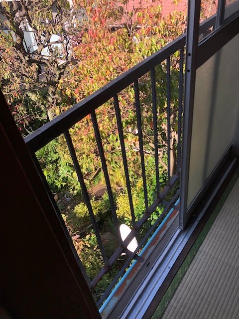 いずみ荘 ベランダ