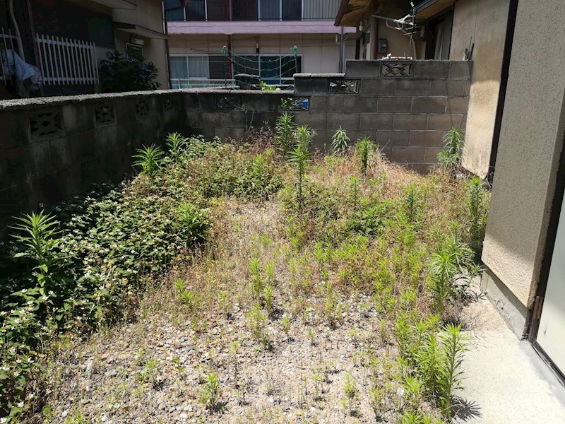 愛知県名古屋市天白区元八事１丁目 庭