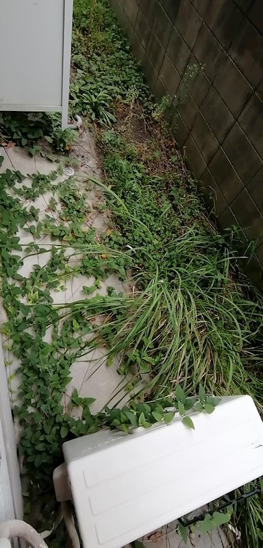 愛知県名古屋市中川区十番町１丁目 ベランダ